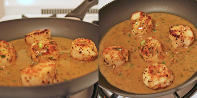 Simple Seared Scallops For Beginners Simple Seared Scallops For Beginners