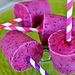 Greek Yogurt Berry Smoothie Pops