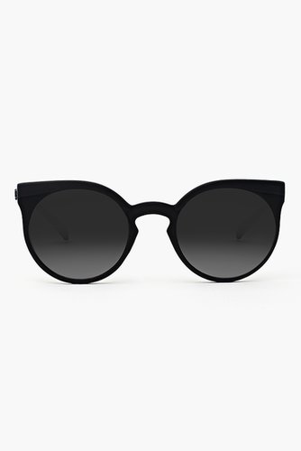 Calico Shades