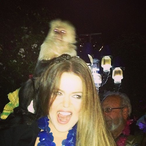 Monkeying Around Monkeying Around