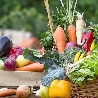 Reasons Why You Should Go Vegetarian