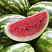 Summer Produce Guide
