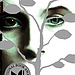 Speak by Laurie Halse Anderson