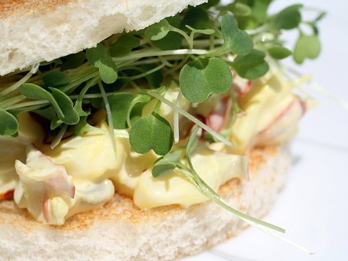 Saffron Lobster Tea Sandwiches Saffron Lobster Tea Sandwiches