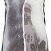 Cover Biker Tank