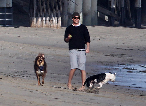 In January 2012, Josh Hartnett spent a day at the beach with two adorable four-legged friends in LA.
In January 2012, Josh Hartnett spent a day at the beach with two adorable four-legged friends in LA.