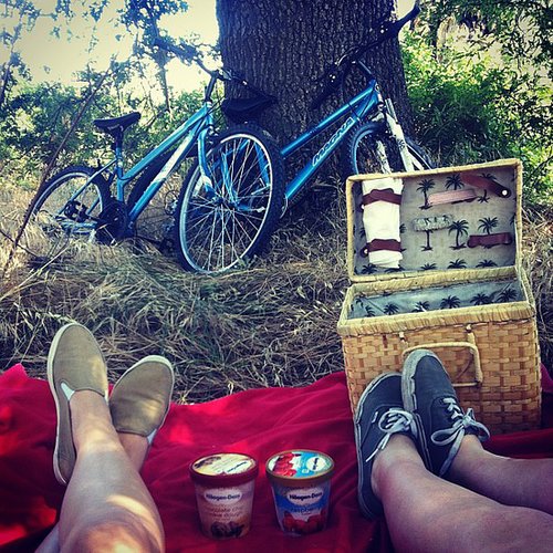Go on a Red, White, and Blue Picnic Go on a Red, White, and Blue Picnic