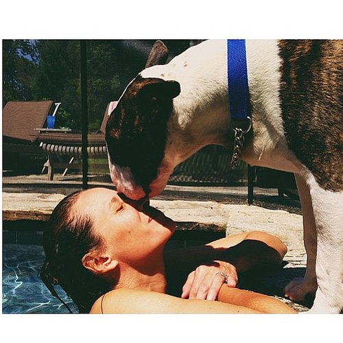 Pup Love Pup Love