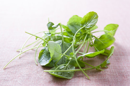 What Is Your Favorite Way to Eat Watercress? What Is Your Favorite Way to Eat Watercress?