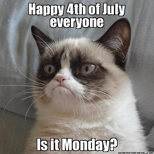 What a downer, that Grumpy Cat.
Source: Generator Meme
What a downer, that Grumpy Cat.
Source: Generator Meme