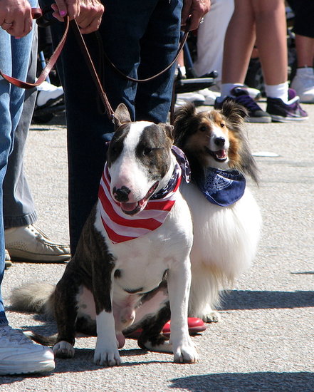 Ready For a Parade Ready For a Parade