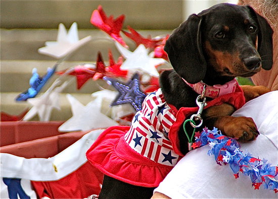 Star Spangled Star Spangled