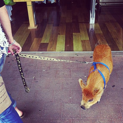 Just Strollin' Just Strollin'