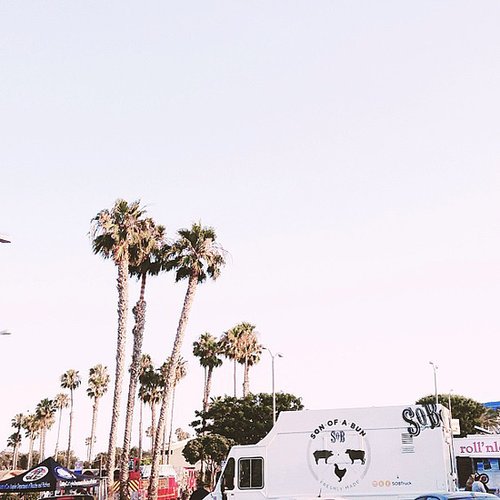 Check Out a Food Truck Check Out a Food Truck