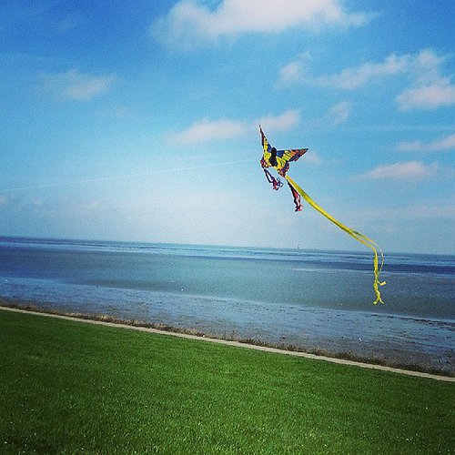 Fly a Kite Fly a Kite