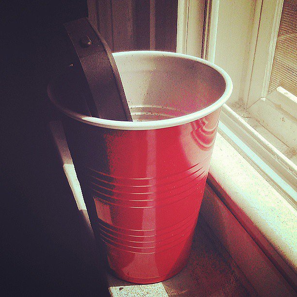 Cup Speakers Cup Speakers