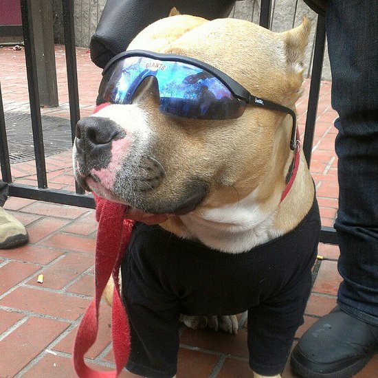 My Future's So Bright My Future's So Bright