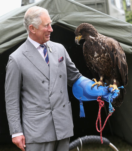 Eagle Eye Eagle Eye