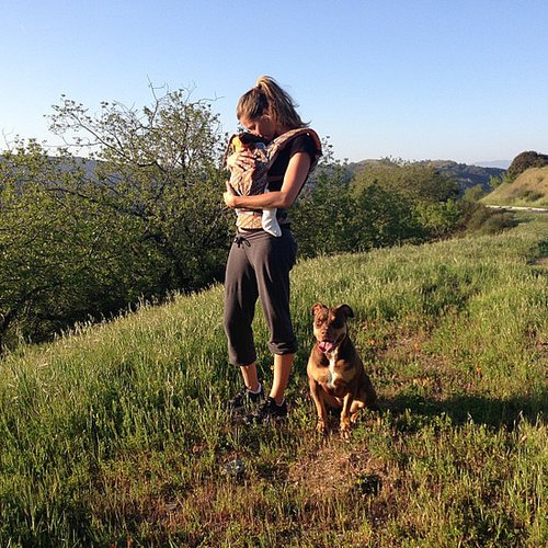 Gisele Bündchen and her family also have another pooch, a bull-terrier mix named Lua — and she's just as photogenic as her owners.
Source: Instagram user giseleofficial
Gisele Bündchen and her family also have another pooch, a bull-terrier mix named Lua — and she's just as photogenic as her owners.
Source: Instagram user giseleofficial
