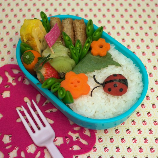 Ladybug and Garden Bento Ladybug and Garden Bento