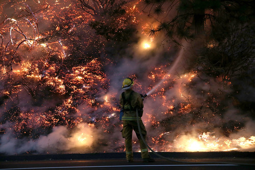 A firefighter battled the flames by Yosemite National Park.
A firefighter battled the flames by Yosemite National Park.
