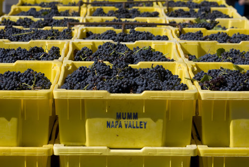 Harvesting Harvesting