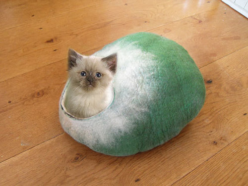 If cat's had shells like turtles, they would look like this green and white number ($57).
If cat's had shells like turtles, they would look like this green and white number ($57).