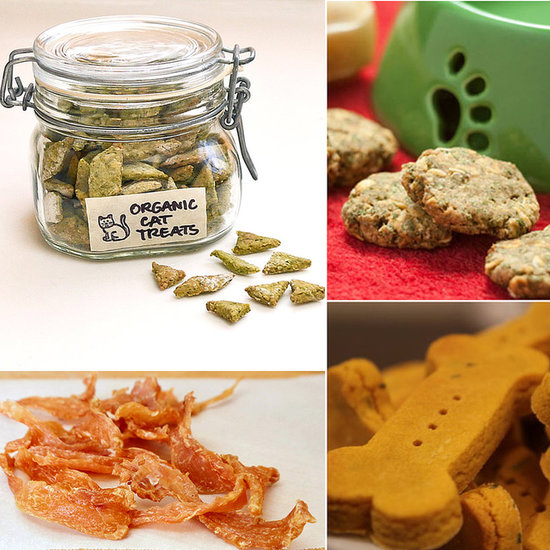 6 Pet-Friendly Recipes For Your Favorite Furry Friend 6 Pet-Friendly Recipes For Your Favorite Furry Friend