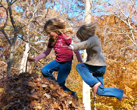 Make a Pile of Leaves Make a Pile of Leaves