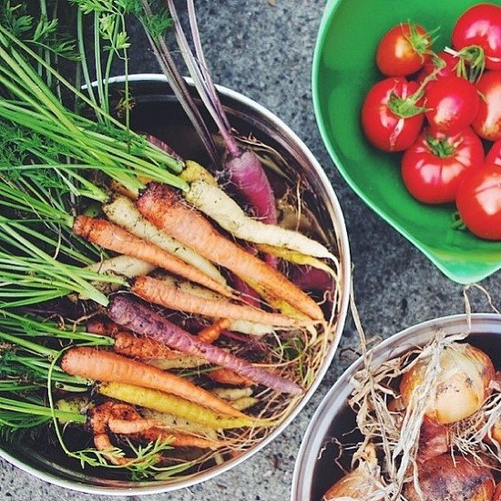 Fresh Produce Fresh Produce