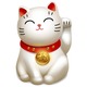 CatOLuck CatOLuck
