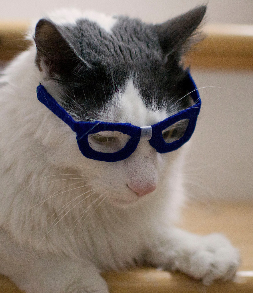 Nerd Nerd