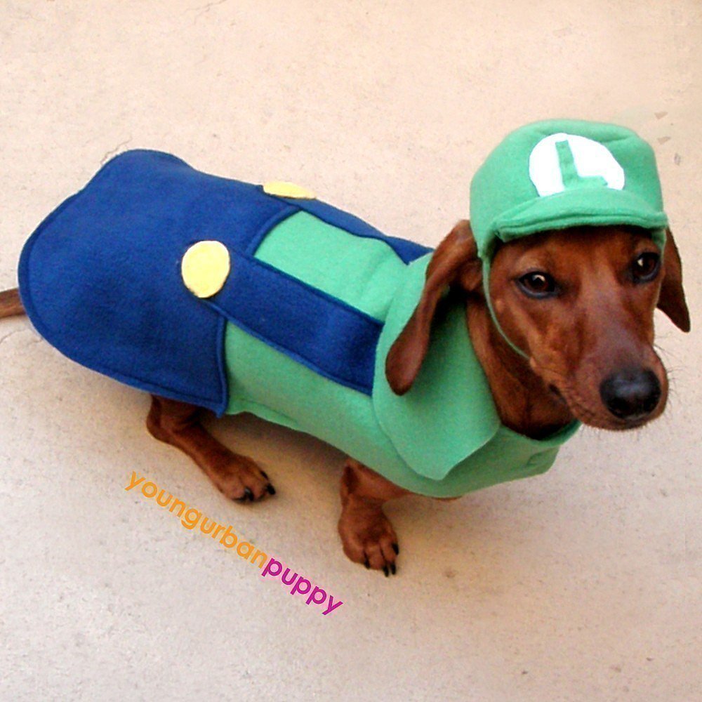 Luigi Luigi
