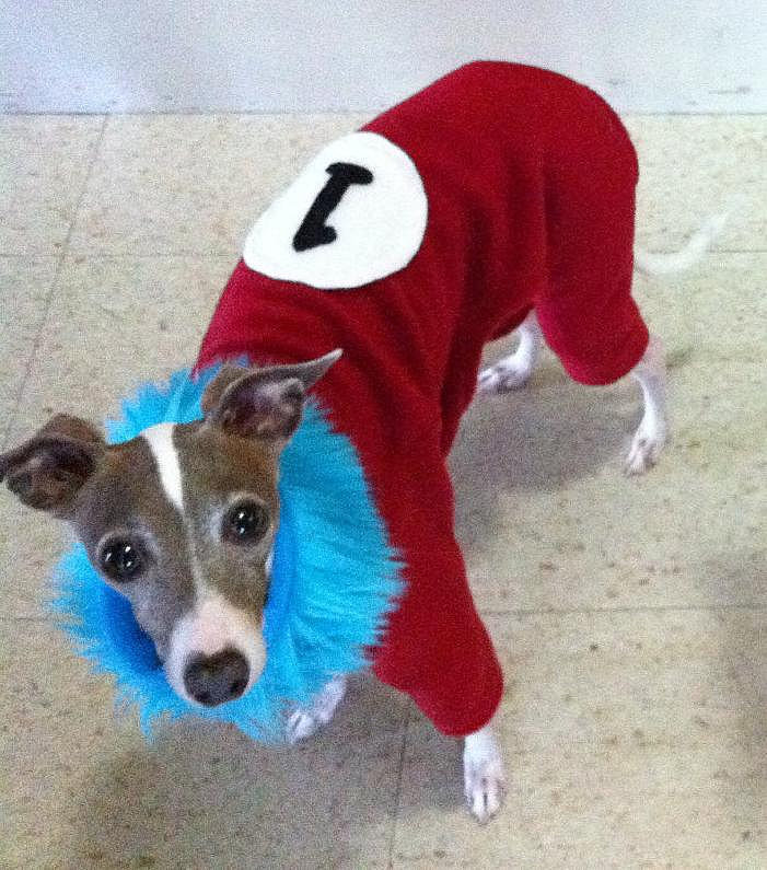 Thing 1 Thing 1