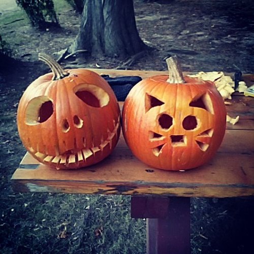 Carve Pumpkins Carve Pumpkins