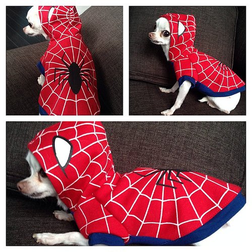 Spiderman Spiderman