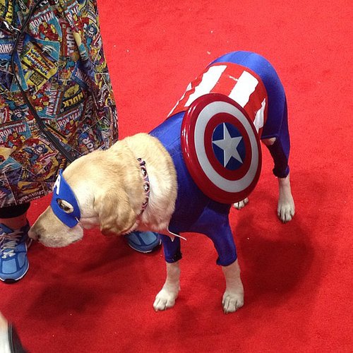 Captain America Captain America