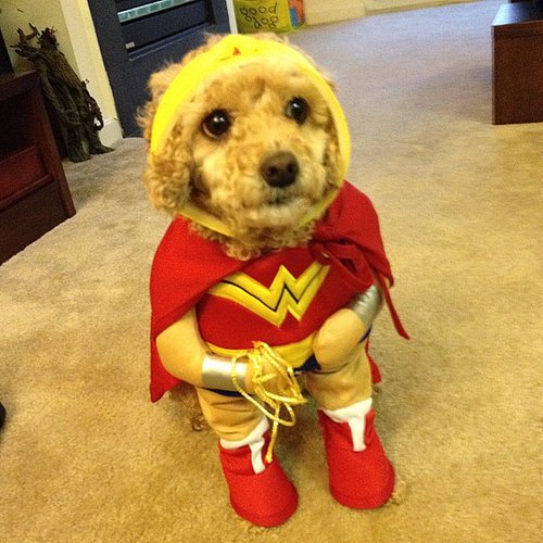 Wonder Woman Wonder Woman
