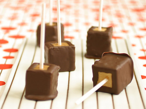 Chocolate Covered Peanut Butter Cheesecake Pops Chocolate Covered Peanut Butter Cheesecake Pops