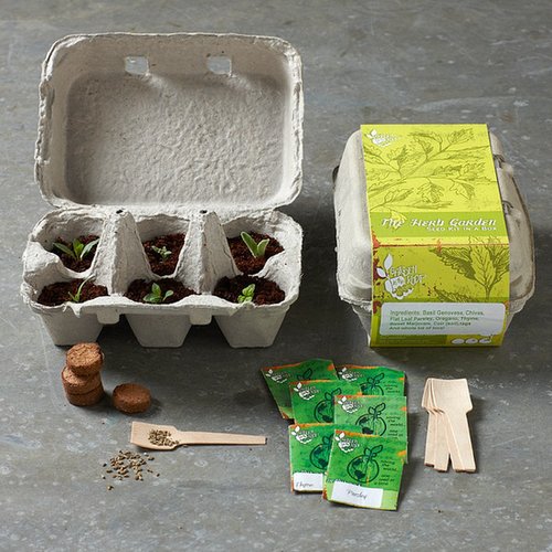 Herb Growing Kit Herb Growing Kit