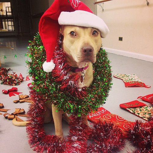 Happy Holidays! Happy Holidays!