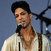 Prince Is New Girl's Latest Guest Star