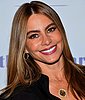 Sofia Vergara Makes Us Want To Throw Out Our Tweezers