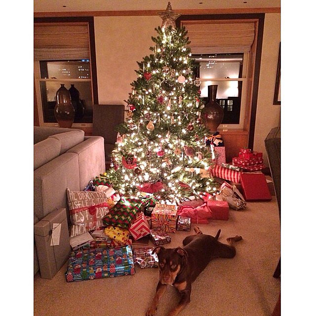 Gisele Bündchen shared a picture of her lit-up Christmas tree!
Source: Instagram user giseleofficial
Gisele Bündchen shared a picture of her lit-up Christmas tree!
Source: Instagram user giseleofficial