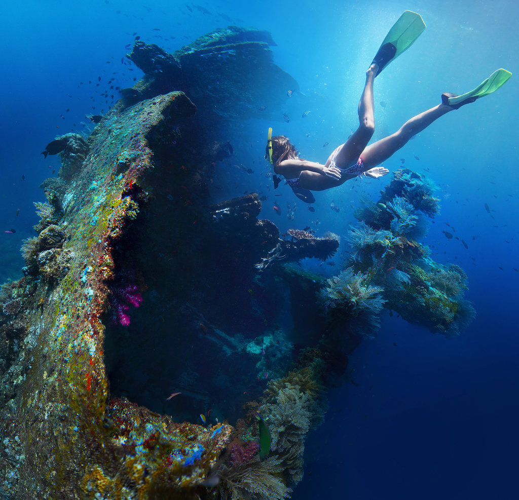 Explore a Shipwreck Explore a Shipwreck