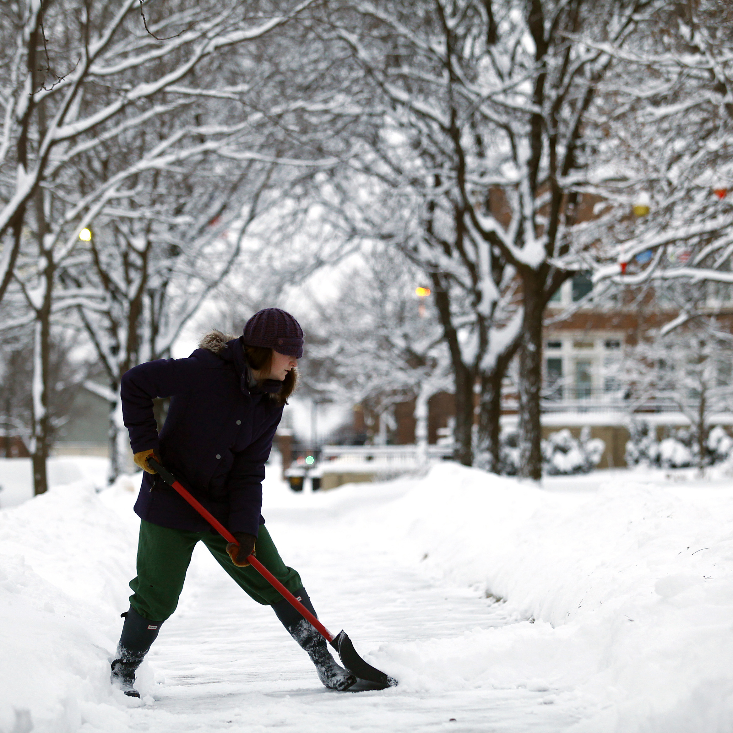 3 Apps to Predict the Next Bombogenesis or Polar Vortex