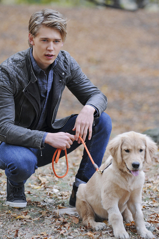 Sebastian, The Carrie Diaries Sebastian, The Carrie Diaries