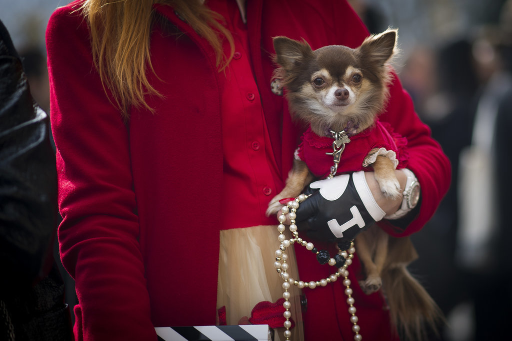 Clearly, this is PFW's best accessory.
Clearly, this is PFW's best accessory.