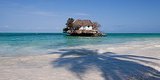 This Restaurant In Zanzibar Is Our Dream Vacation In One Place This Restaurant In Zanzibar Is Our Dream Vacation In One Place