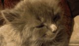 Daily GIFs: March 10, 2014 Daily GIFs: March 10, 2014